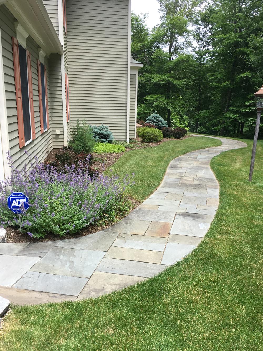 Walk 6-15-17