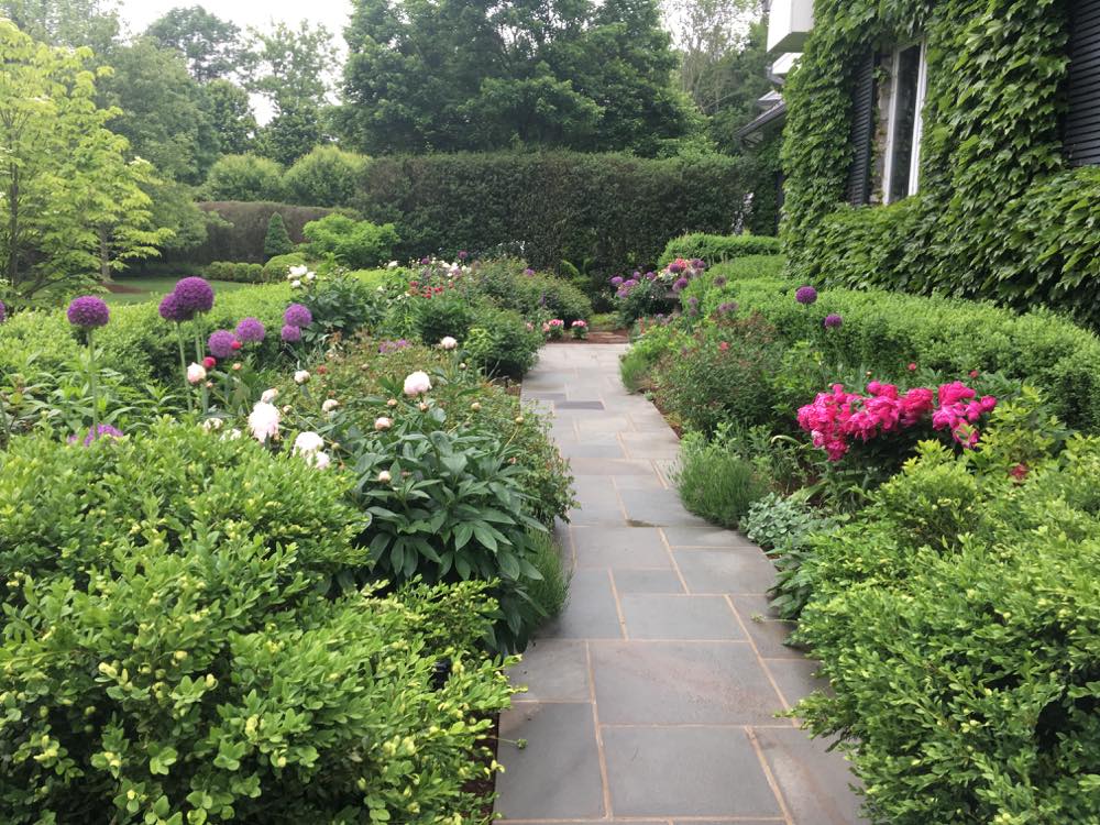 Kitchen walk 6-15-17