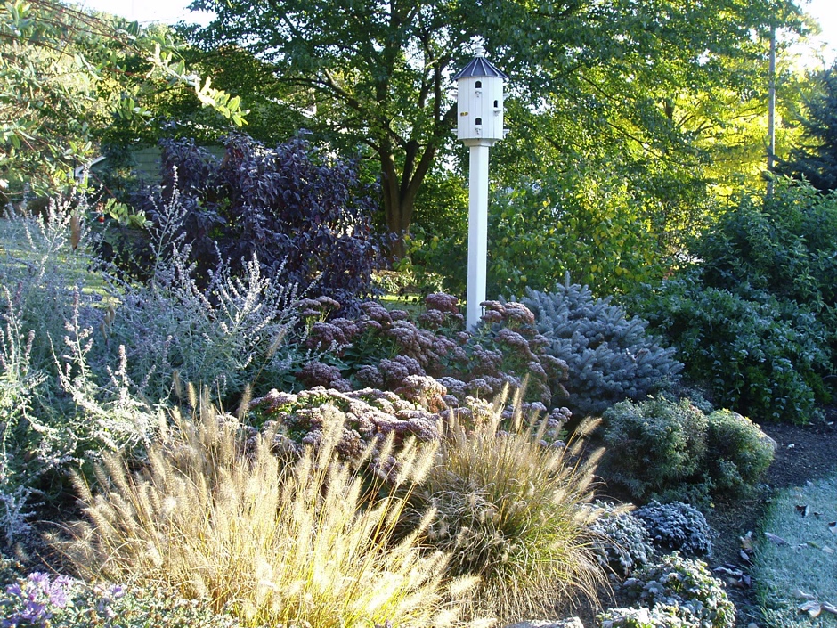 Birdhouse Bed, Fall