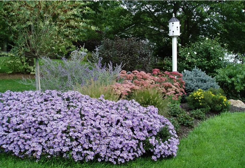 Birdhouse Bed, Late Summer