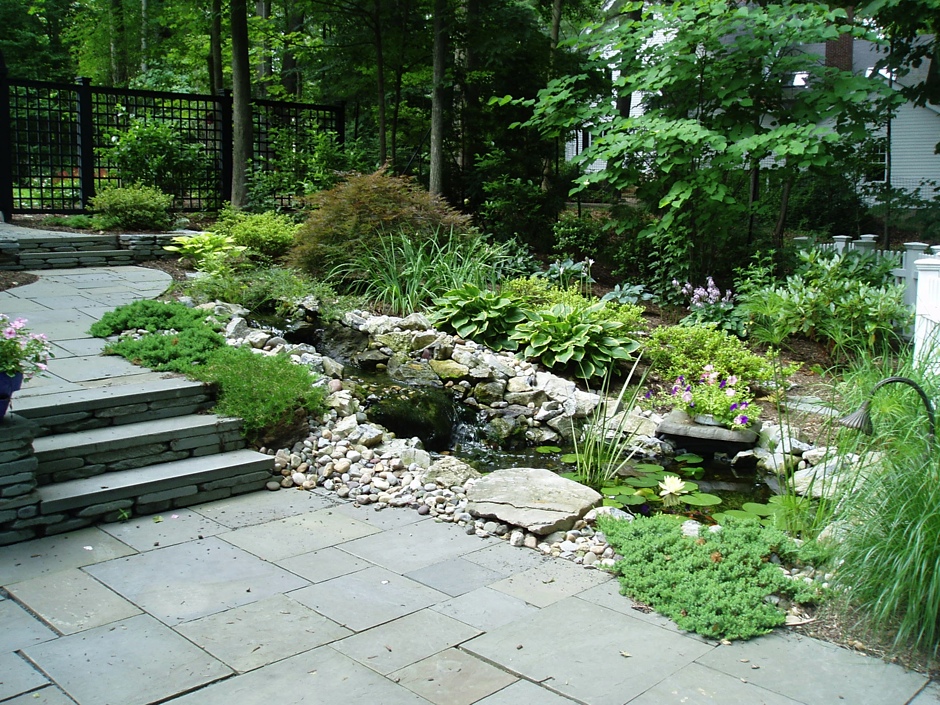 Bluestone Steps Pond Stream