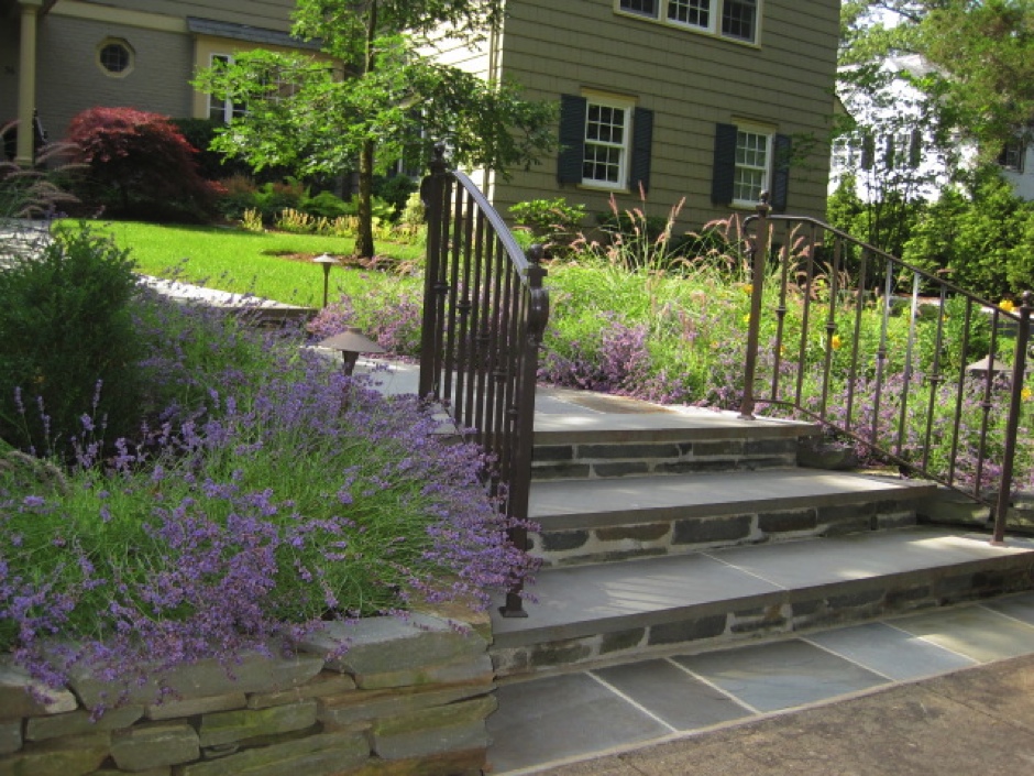 Front Entry Steps with Lavender