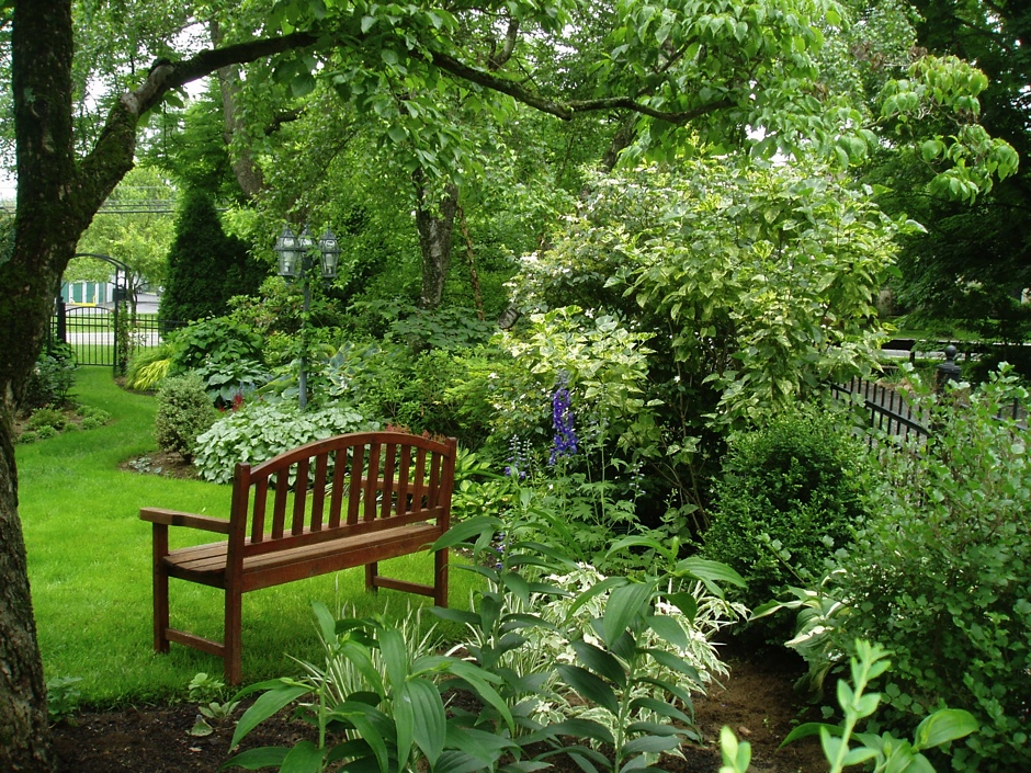 Garden Bench at Sterling's Display Garden