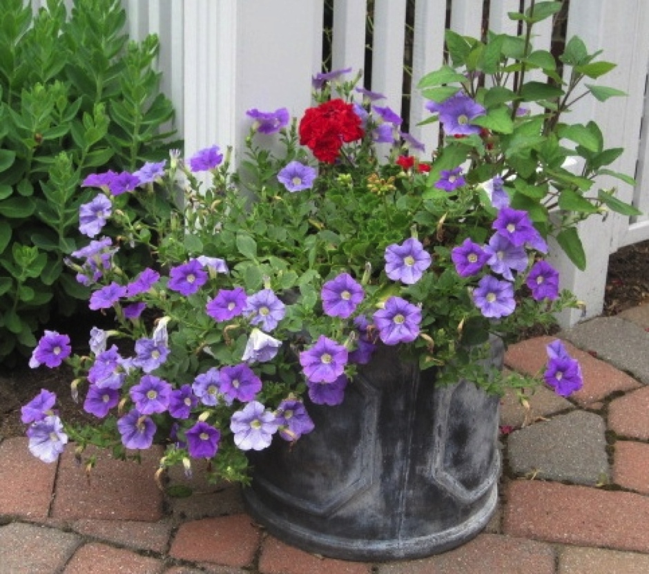 Patio Planter