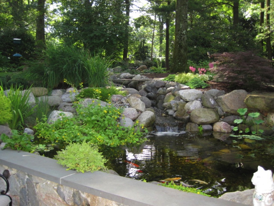 Pond and Garden in Summit