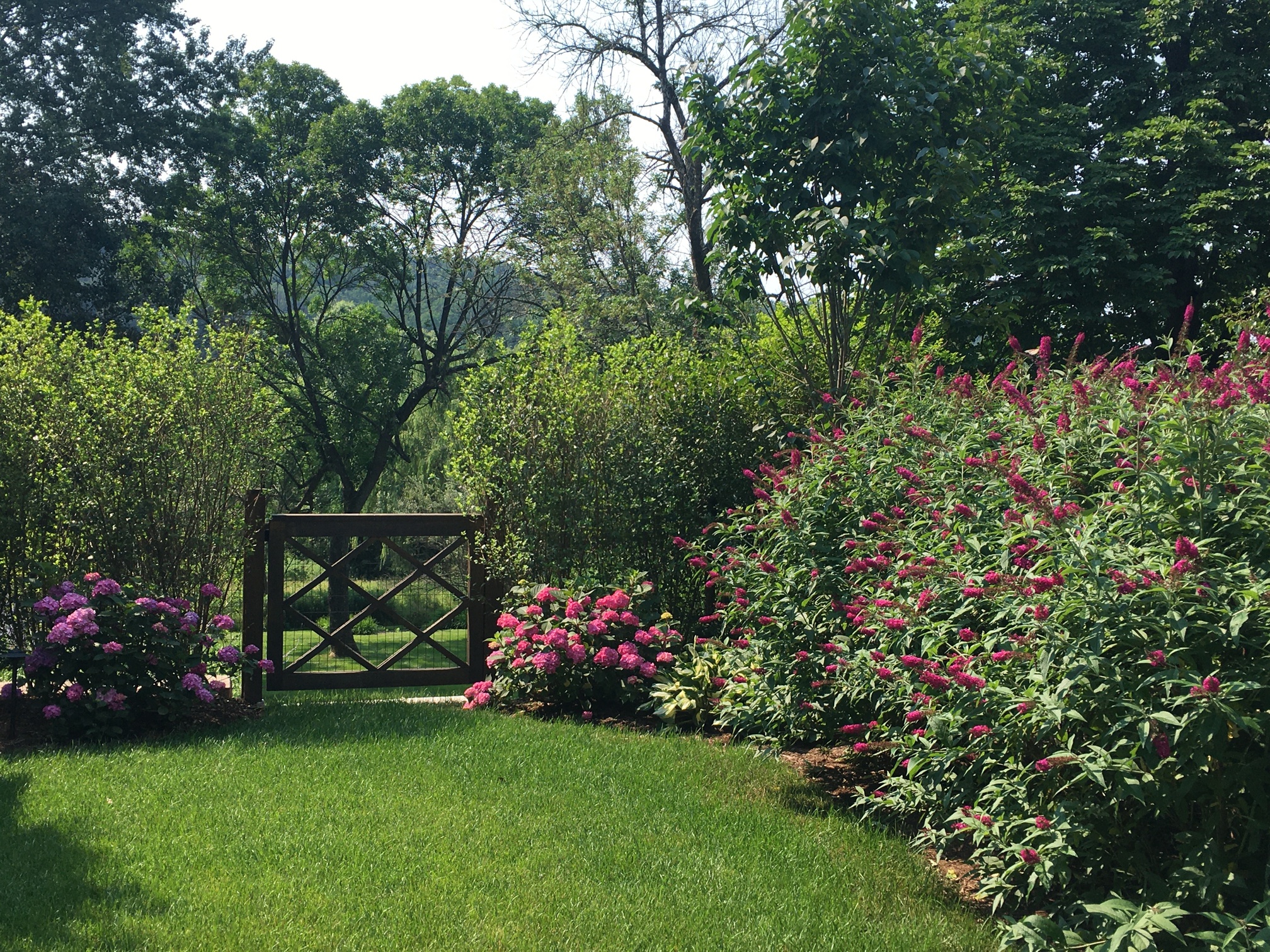 Pool Garden, Right side of Gate