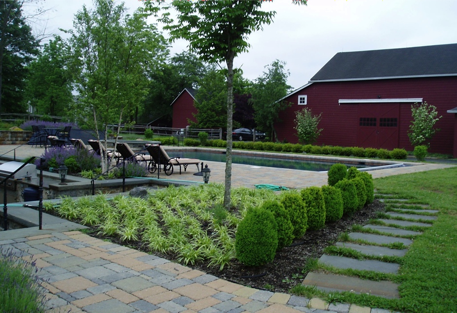 Poolhouse Planting Project