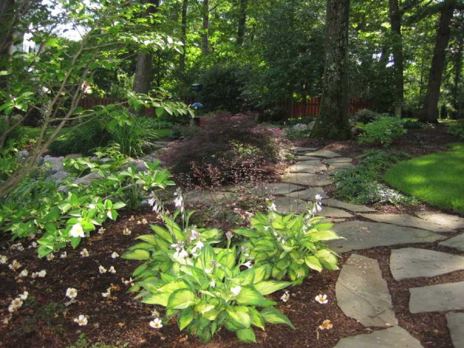 Stepping Stone Path and Hosta
