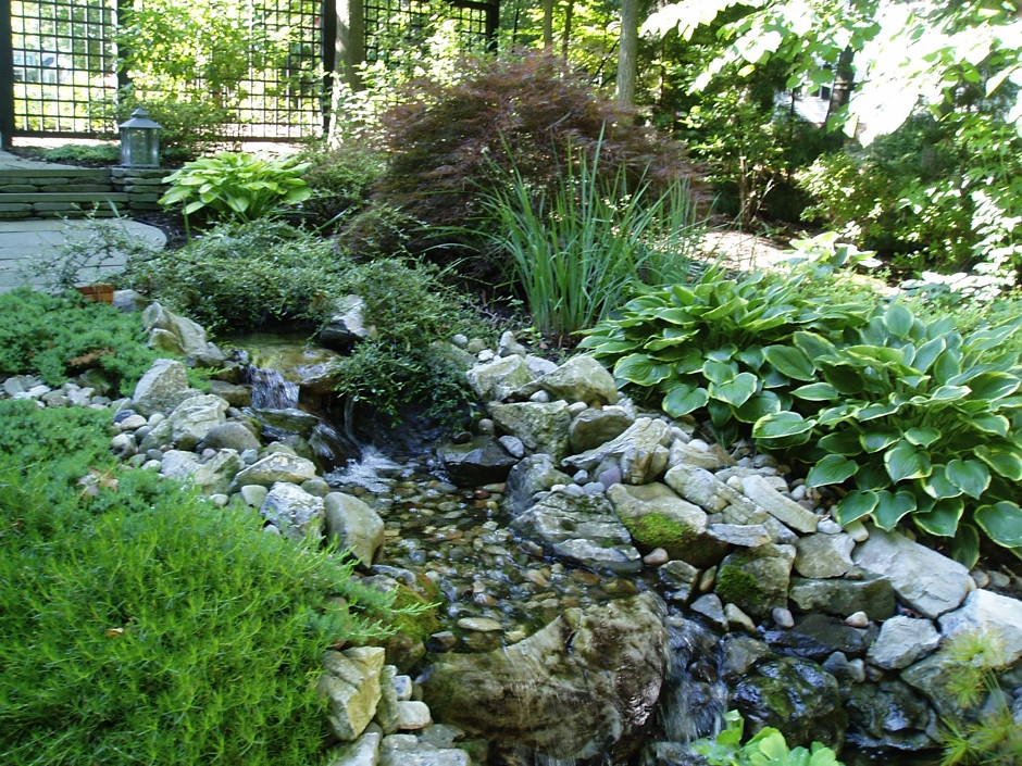 Stream and Pond