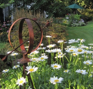 Armillary with Shasta Daisies