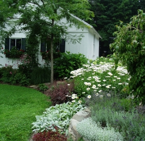 At Sterling's Display Garden