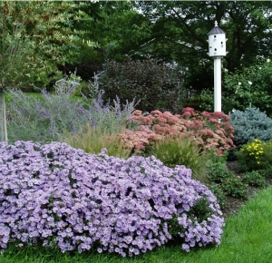 Birdhouse Bed, Late Summer