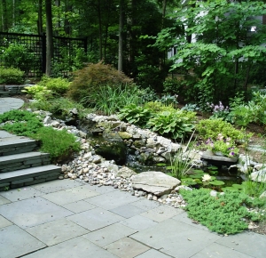 Bluestone Steps Pond Stream