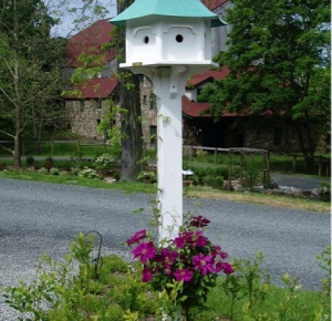 Carousel Birdhouse with Clematis Ernest Markham