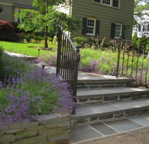 Front Entry Steps with Lavender