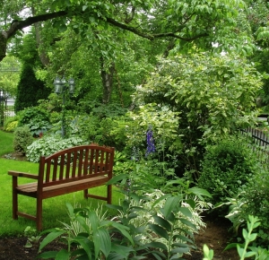 Garden Bench at Sterling's Display Garden