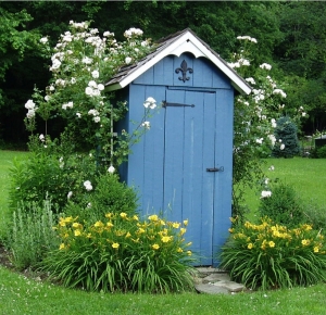 Outhouse Shed, Sterling Garden