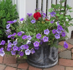 Patio Planter