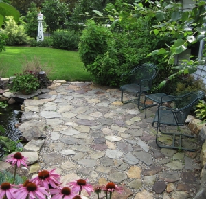 Patio with Coneflower