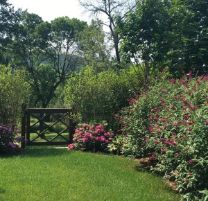 Pool Garden, Right side of Gate