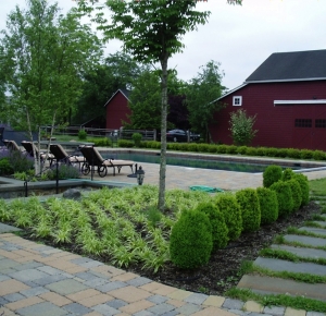 Poolhouse Planting Project