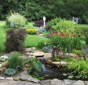 Sterling\'s Display Garden and Pond