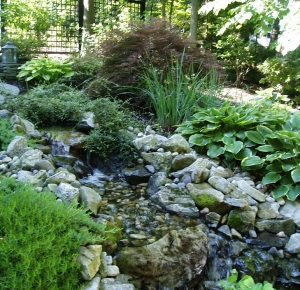 Stream and Pond