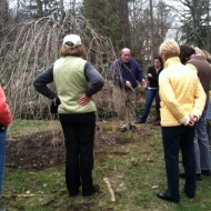 pruning-class-5-2