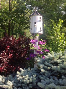 birdhouse with Clematis