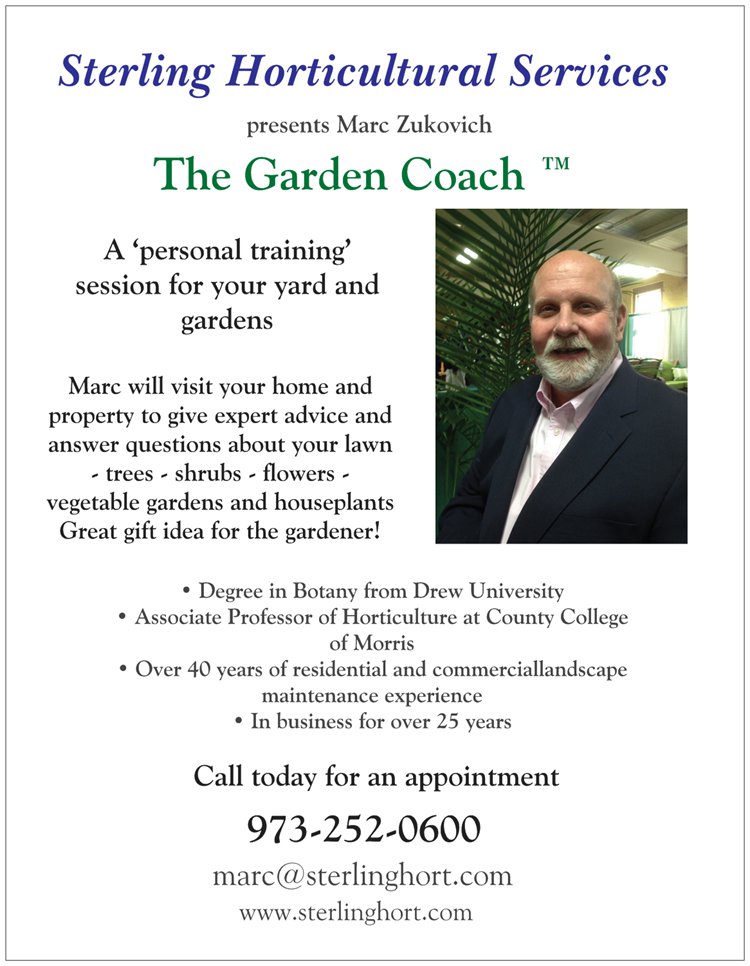 two-sided ad - garden coaching