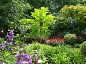 kitchen view 6-20-16